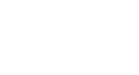 Badami_Logo_White.png